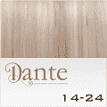 Dante-clip Light Haarstuk 42cm Straight