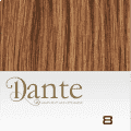 Dante-clip Haarstuk 42cm Natural Straight